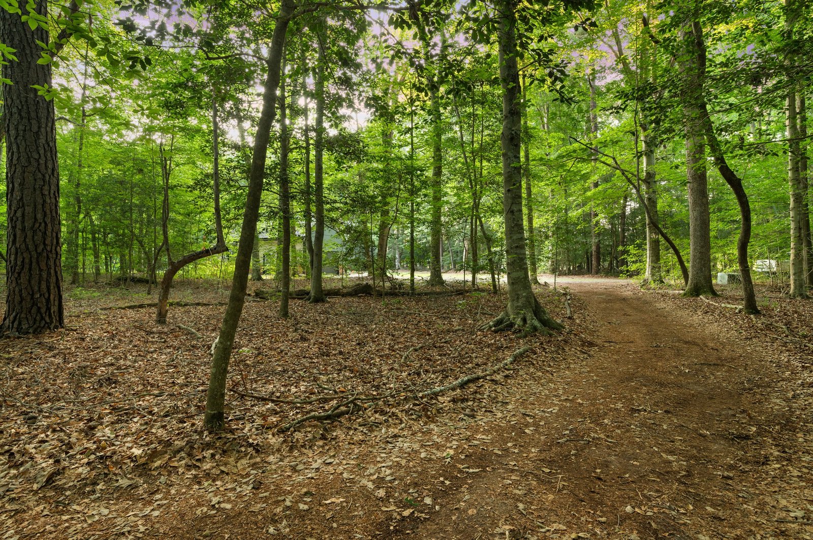45-web-or-mls-3058-moonlight-rd