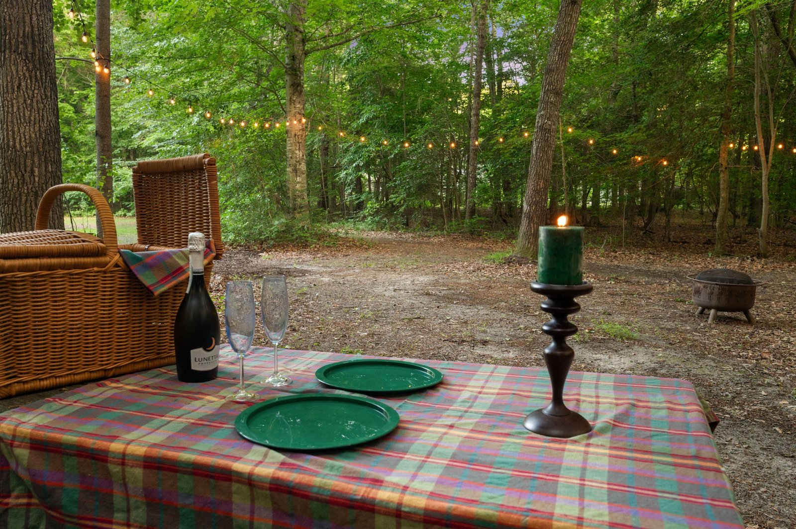 47-web-or-mls-3058-moonlight-rd