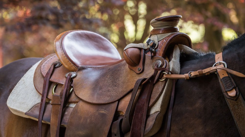 Private Horseback Riding at Moonlight Retreat in Smithfield, VA