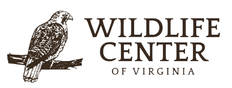 Wildlife Center of Virginia
