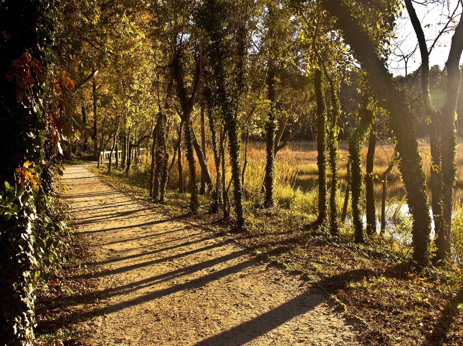 Windsor Castle Park, Smithfield, Virginia
