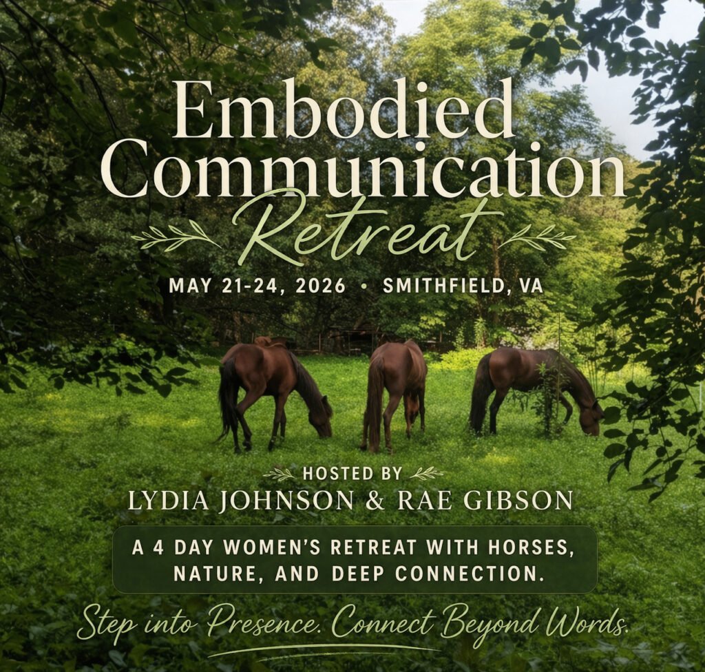 Embodied Communication Retreat - Moonlight Retreat